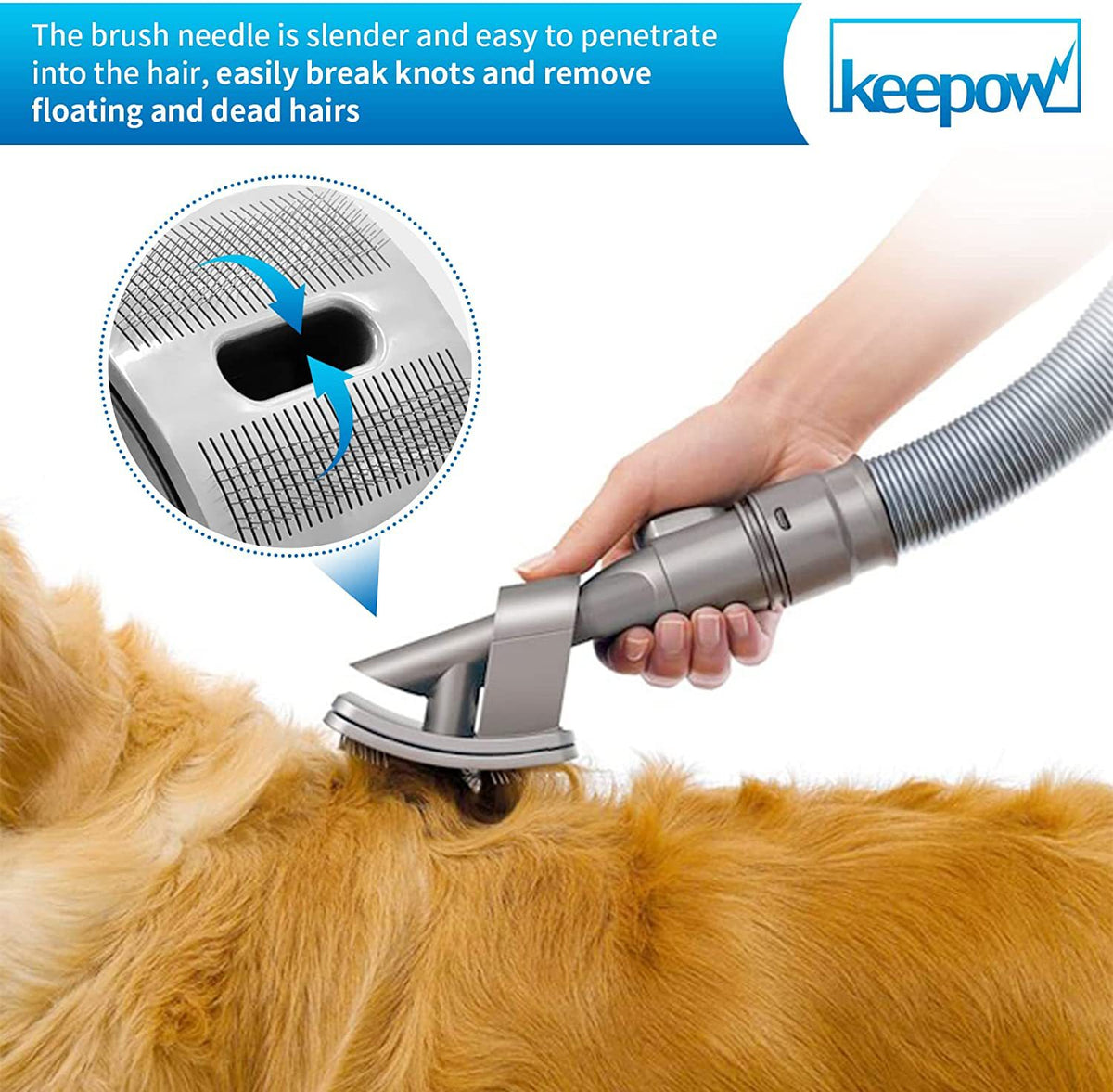 Accessories Pet Grooming Brush Pet Brush