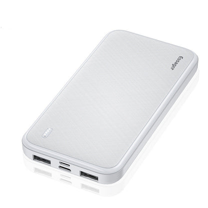 Large Capacity Dual USB Fast Charging Power Bank